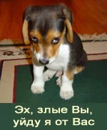 :ujdu